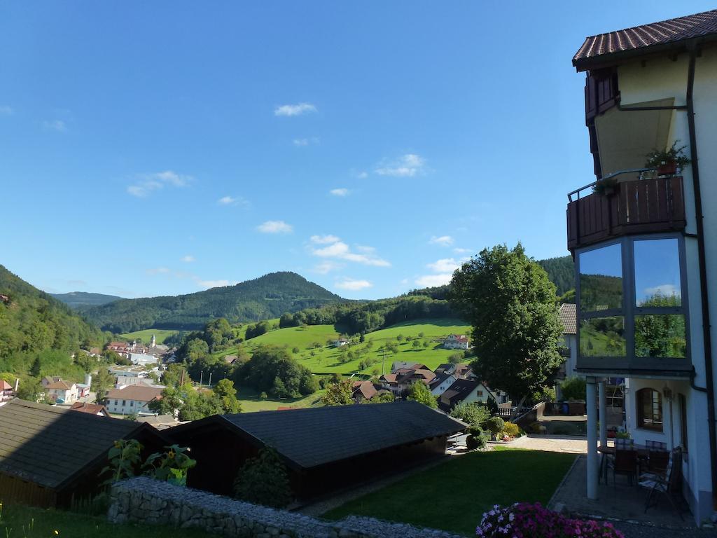 Ferienwohnung Schwarzwaldsteig Bad Peterstal-Griesbach Rom bilde