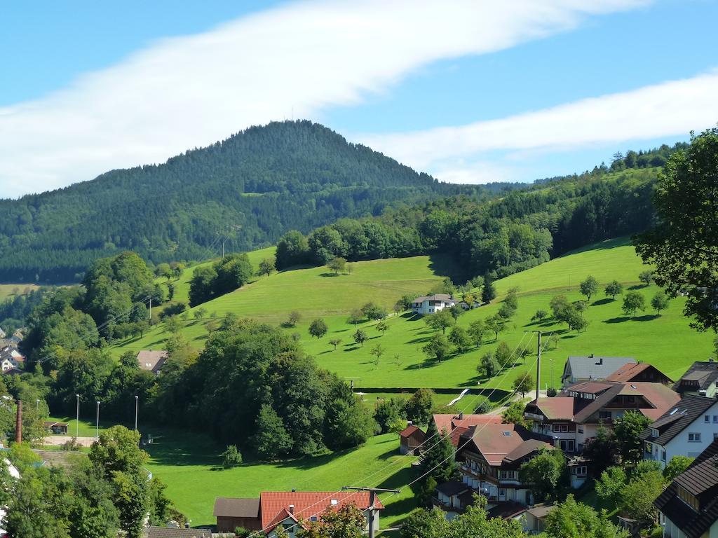 Ferienwohnung Schwarzwaldsteig Bad Peterstal-Griesbach Eksteriør bilde
